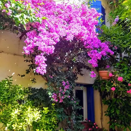 Les Glycines Casa de Férias *
