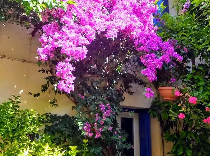 Les Glycines Tatil Evi *